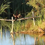 Little Stream Farm